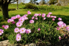 TonKlangLichter1Mai-12