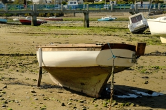 TonKlangLichter1Mai-14