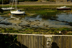 TonKlangLichter1Mai-17