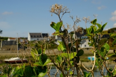 TonKlangLichter1Mai-18
