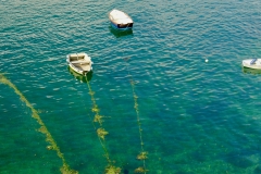 TonKlangLichter1Mai-3