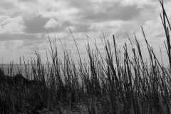 TonKlangLichter1Mai-6