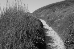 TonKlangLichter1Mai-7