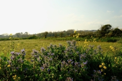 TonKlangLichterColeurFinAvril-13