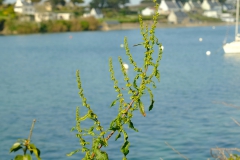 TonKlangLichterColeurFinAvril-15