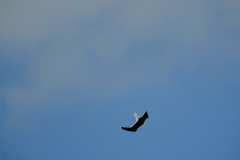 TonKlangLichterColeurFinAvril-2