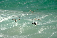 TonKlangLichterColeurFinAvril-3