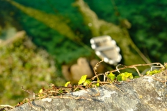 TonKlangLichterColeurFinAvril-6