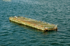 TonKlangLichterColeurFinAvril-7