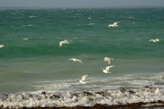 TonKlangLichterDecember2023-10