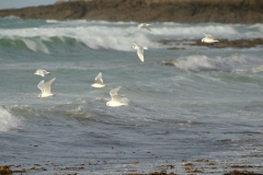 TonKlangLichterDecember2023-13