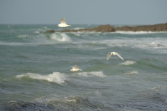 TonKlangLichterDecember2023-15