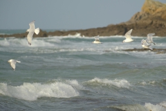 TonKlangLichterDecember2023-16