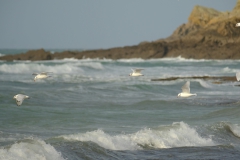 TonKlangLichterDecember2023-17