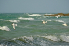 TonKlangLichterDecember2023-19