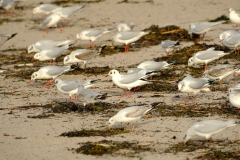 TonKlangLichterDecember2023-21