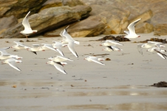 TonKlangLichterDecember2023-4