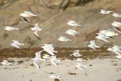 TonKlangLichterDecember2023-5