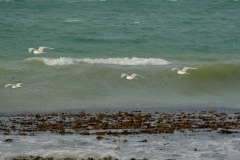 TonKlangLichterDecember2023-9