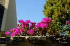 TonKlangLichterBretagne-13