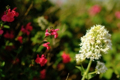 TonKlangLichterBretagne-23