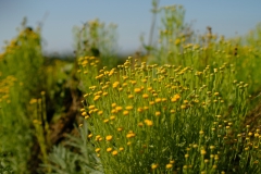 TonKlangLichterBretagne-28