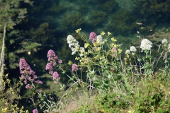 TonKlangLichterBretagne-3