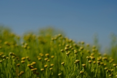 TonKlangLichterBretagne-33