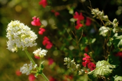 TonKlangLichterBretagne-34