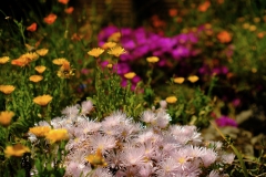 TonKlangLichterBretagne-37