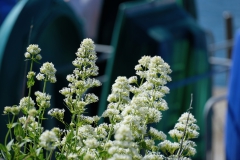 TonKlangLichterBretagne-4