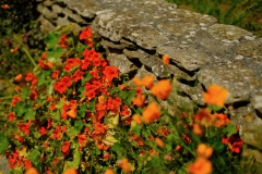 TonKlangLichterBretagne-41