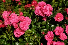 TonKlangLichterBretagne-42