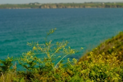 TonKlangLichterBretagne-69