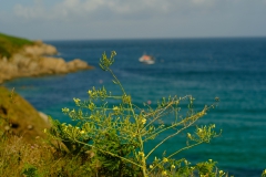 TonKlangLichterBretagne-70