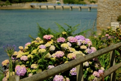 TonKlangLichterBretagne-93