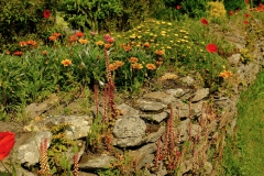 TonKlangLichterBlumenPrachtBretagneMai-10