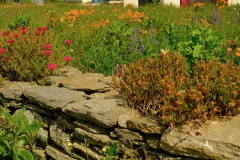 TonKlangLichterBlumenPrachtBretagneMai-21