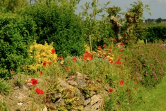 TonKlangLichterBlumenPrachtBretagneMai-9