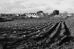 TonKlangLichterBretagneDec_Nov_Lichter-11