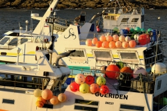 TonKlangLichterBretagneDec_Nov_Lichter-15