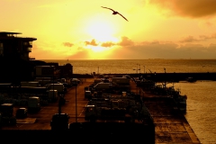 TonKlangLichterBretagneDec_Nov_Lichter-17