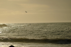 TonKlangLichterBretagneDec_Nov_Lichter-5