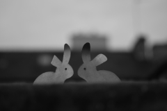 TonKlangLichterBretagneDec_Nov_Lichter-7