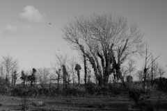 TonKlangLichterBretagneDec_Nov_Lichter-9