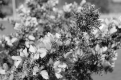 TonKlangLichterBretagneArts2023-2