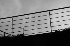 TonKlangLichterBretagneArts2023-3