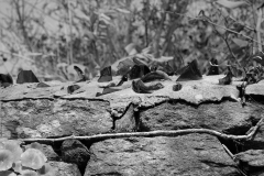 TonKlangLichterBretagneArts2023-5