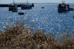 TonKlangLichterBretagne-5