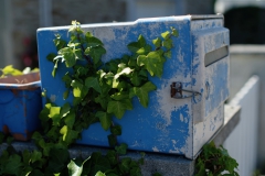 TonKlangLichterBretagne-52